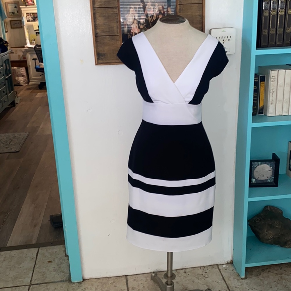 BLOW OUT SALE Andrew Marc fitted v neck dress in black & white.